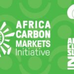 Carbon Credit Market in Africa: Opportunities and the Role of Regulation