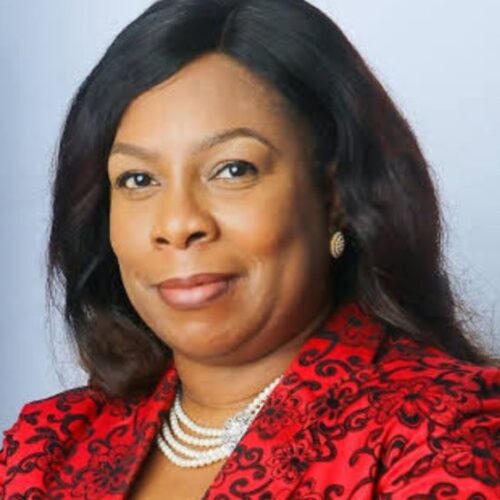 Adenike Aboderin Appointed New MD/CEO of SAHCO Plc