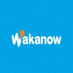 Wakanow Adjusts Strategies Amid Near-Zero Bookings, Launches ‘Video Selling’ to Boost Demand