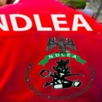 UN Commits to Strengthening NDLEA’s Efforts Against Drug Abuse and Trafficking