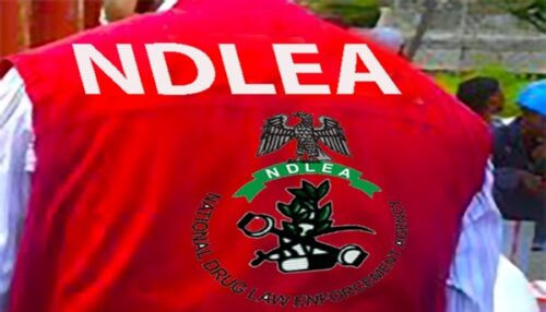 UN Commits to Strengthening NDLEA’s Efforts Against Drug Abuse and Trafficking