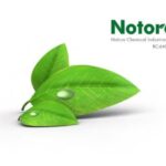 Notore Reports ₦21.55 Billion Revenue for 2023 and Plans to Raise ₦105 Billion in Equity