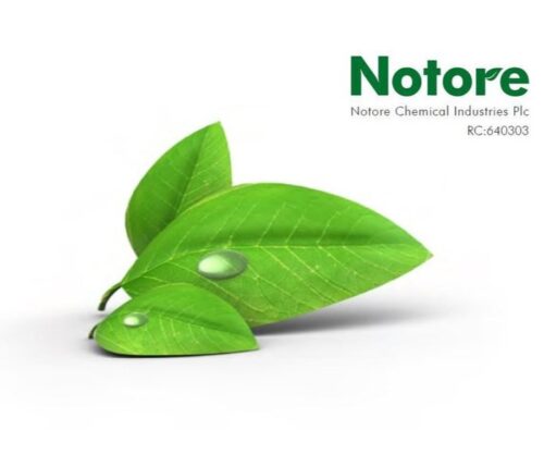 Notore Reports ₦21.55 Billion Revenue for 2023 and Plans to Raise ₦105 Billion in Equity