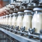 Nigeria’s Dairy Industry Set to Flourish with $5 Million Grant to Support Local Farmers