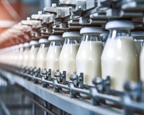 Nigeria’s Dairy Industry Set to Flourish with $5 Million Grant to Support Local Farmers