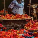 Households Explore Alternatives to Tomato Stew Amid Rising Costs