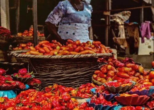 Households Explore Alternatives to Tomato Stew Amid Rising Costs