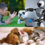 AI – Bridging The Communication Gap Between Pets And Their Owners