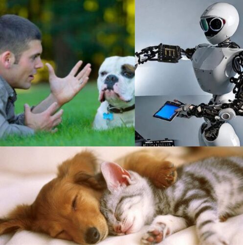 AI – Bridging The Communication Gap Between Pets And Their Owners