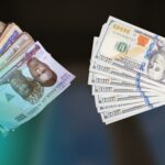 Fall In Naira Value Affects The Economy By $310bn