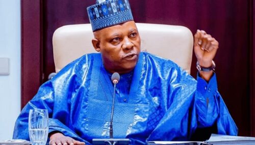 Africa Emerges as a Prime Investment Hub – Shettima