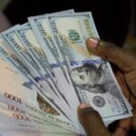 Stabilized Naira Eases Pressure on Imported Inflation