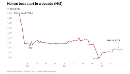 Naira’s Strongest Start in Over a Decade Sparks Optimism and Caution