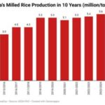 Nigeria’s Rice Production Falls to Four-Year Low Due to High Costs