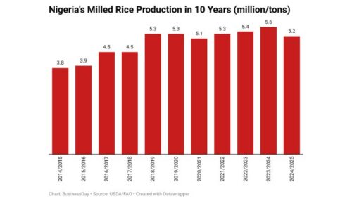 Nigeria’s Rice Production Falls to Four-Year Low Due to High Costs