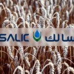 Olam Group Contemplates Selling Remaining Agribusiness Stake To Saudi’s Salic