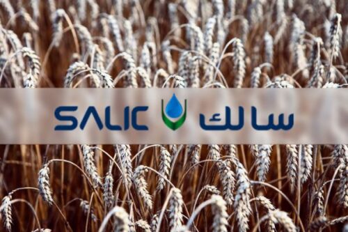 Olam Group Contemplates Selling Remaining Agribusiness Stake To Saudi’s Salic