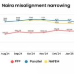 Why Naira Stability is Key to Nigeria’s Economic Future