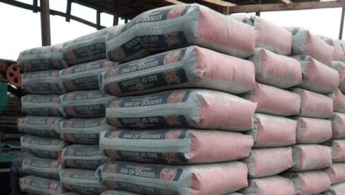 Dangote Cement Reports N503 Billion Net Profit in 2024